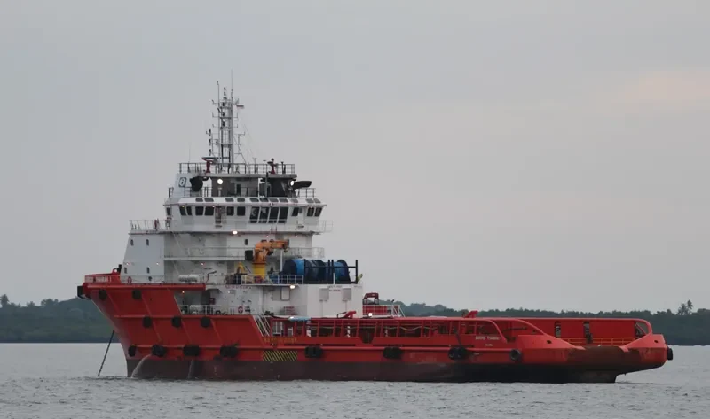 AVATAR TRIUMPH Offshore Vessel IMO 9559030