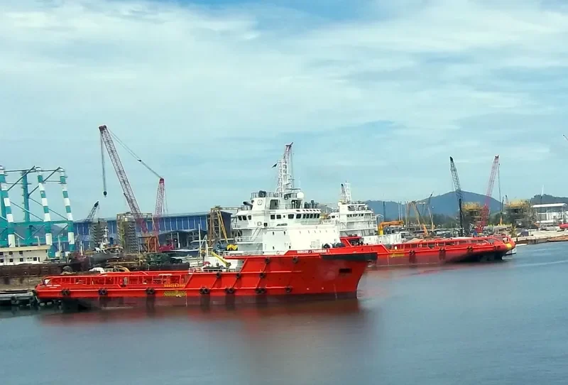 AVATAR TRIUMPH Offshore Vessel IMO 9559030 photo 2