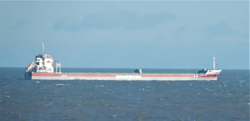 FULDABORG Container Ship IMO 9559092
