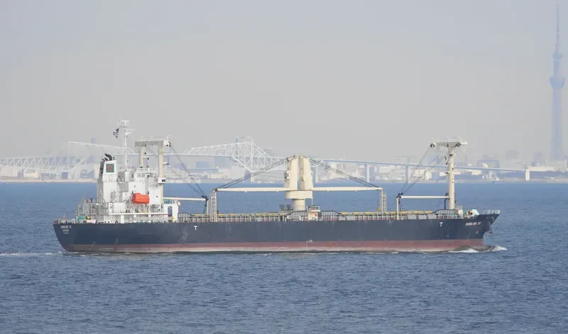 SHINLINE 10 General Cargo IMO 9559470 photo 6