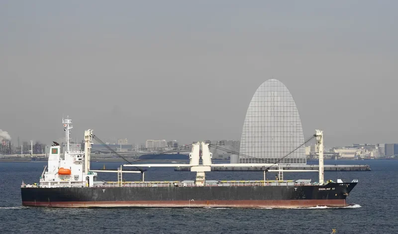 SHINLINE 10 General Cargo IMO 9559470 photo 7