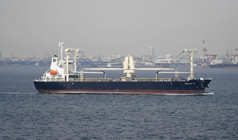 SHINLINE 10 General Cargo IMO 9559470 photo 8