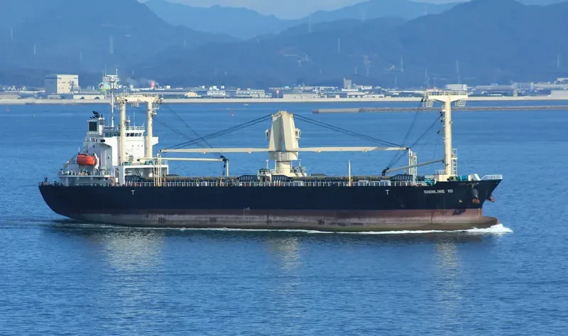 SHINLINE 10 General Cargo IMO 9559470 photo 9