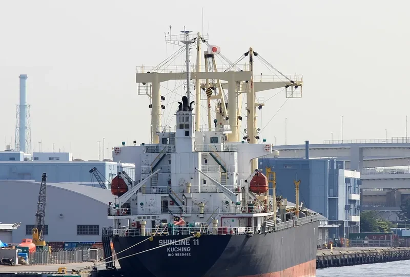 SHINLINE 11 General Cargo IMO 9559482