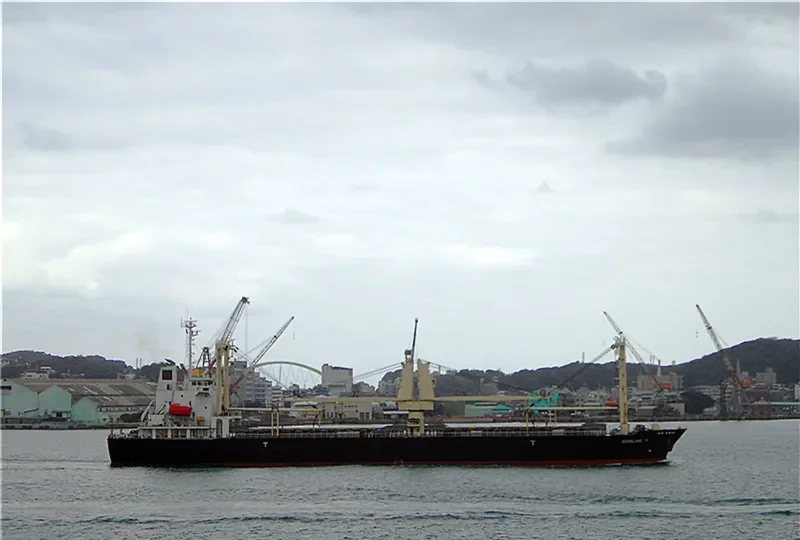 SHINLINE 11 General Cargo IMO 9559482 photo 5