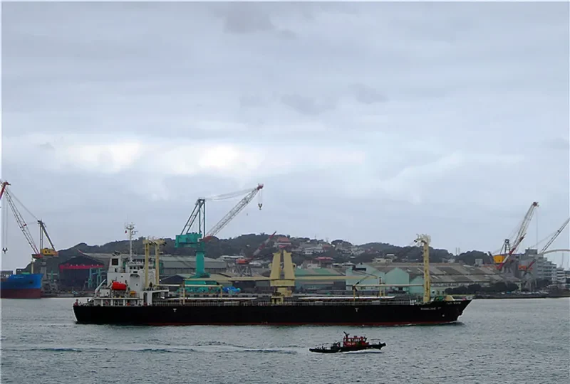 SHINLINE 11 General Cargo IMO 9559482 photo 9