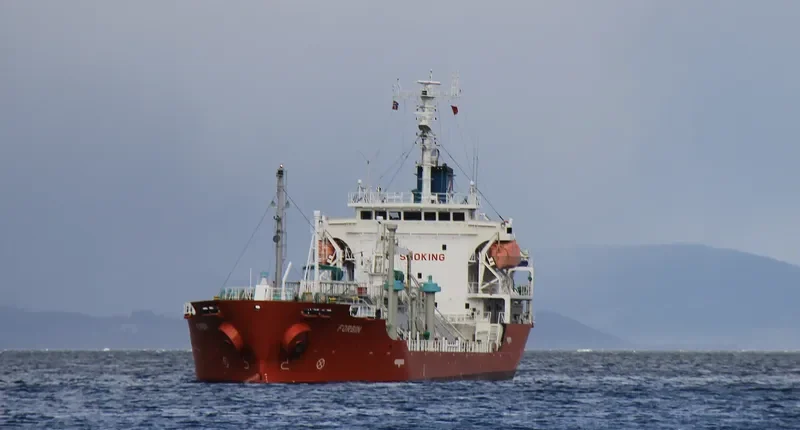 FORBIN General Cargo IMO 9559652 photo 2
