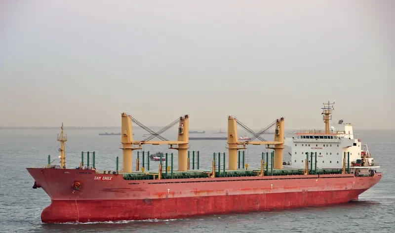LILA HOUSTON Bulk Carrier IMO 9559676