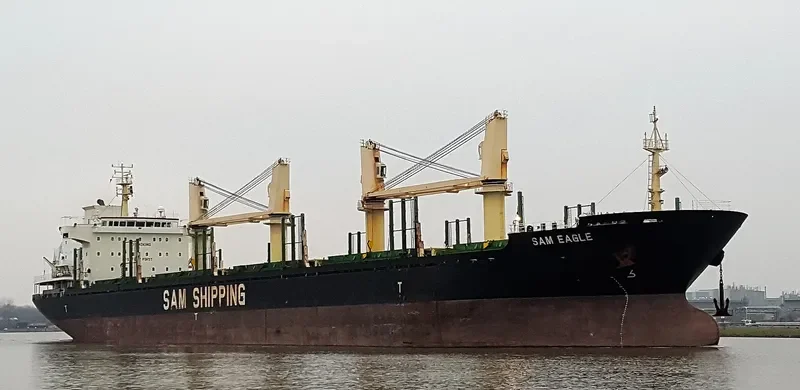 LILA HOUSTON Bulk Carrier IMO 9559676 photo 4