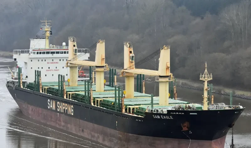 LILA HOUSTON Bulk Carrier IMO 9559676 photo 6