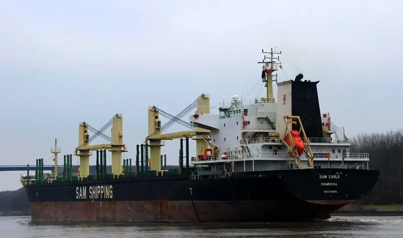 LILA HOUSTON Bulk Carrier IMO 9559676 photo 8