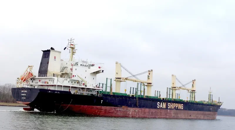 LILA HOUSTON Bulk Carrier IMO 9559676 photo 10