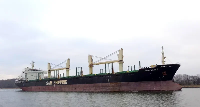 LILA HOUSTON Bulk Carrier IMO 9559676 photo 18