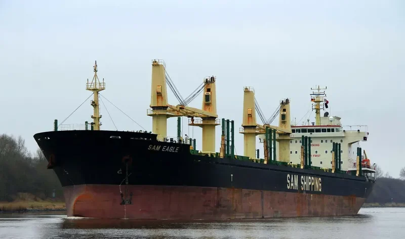 LILA HOUSTON Bulk Carrier IMO 9559676 photo 25