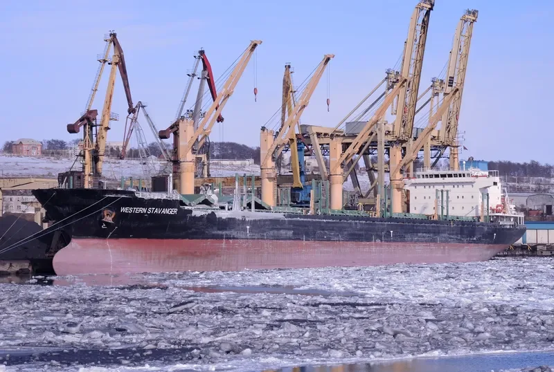 COHIBA Bulk Carrier IMO 9559688 photo 2