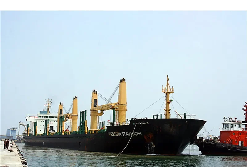 COHIBA Bulk Carrier IMO 9559688 photo 3