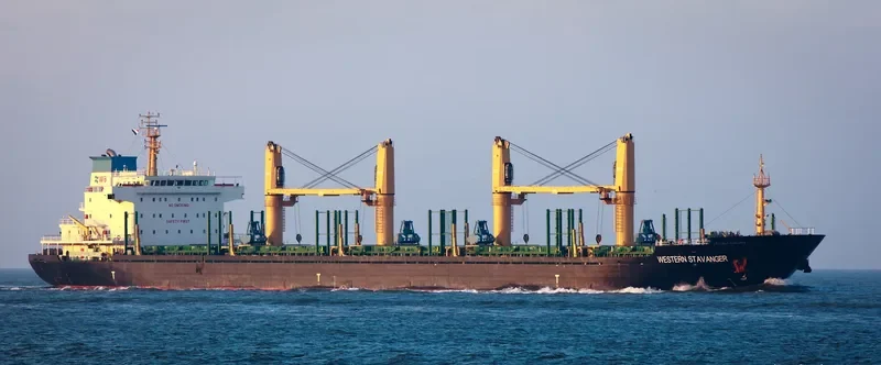 COHIBA Bulk Carrier IMO 9559688 photo 6