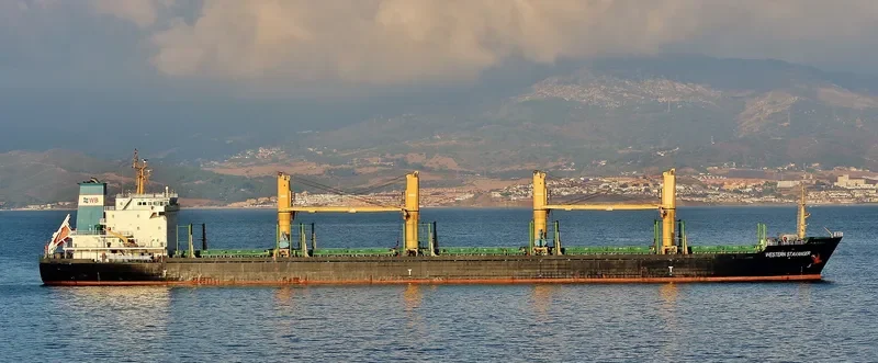 COHIBA Bulk Carrier IMO 9559688 photo 7