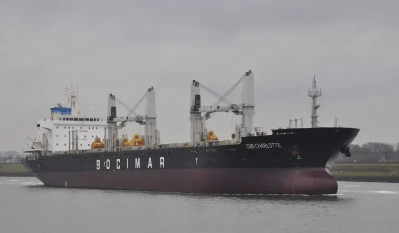 EMIL SELMER Bulk Carrier IMO 9559705 photo 5