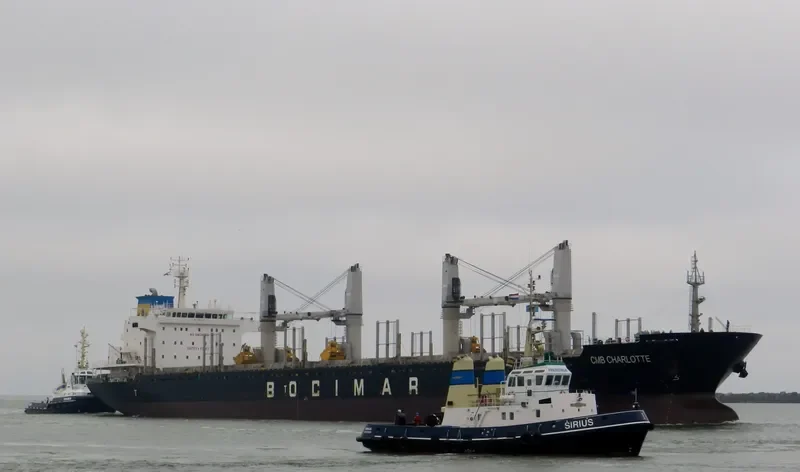 EMIL SELMER Bulk Carrier IMO 9559705 photo 8