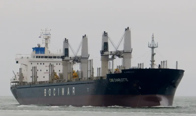 EMIL SELMER Bulk Carrier IMO 9559705 photo 10