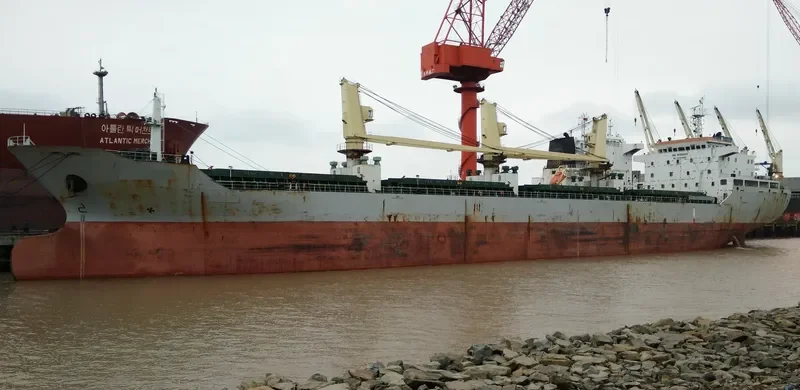 AOLI 5 Bulk Carrier IMO 9560003