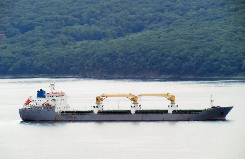AOLI 5 Bulk Carrier IMO 9560003 photo 3