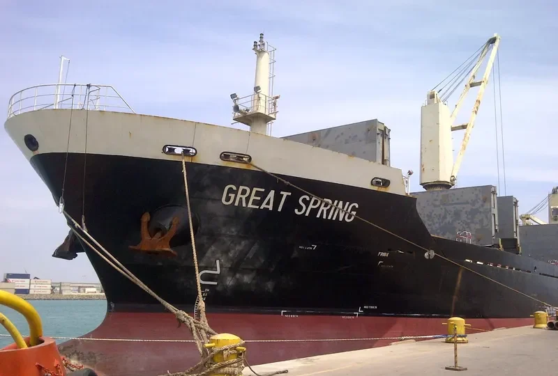 GREAT ROC Bulk Carrier IMO 9560326 photo 2