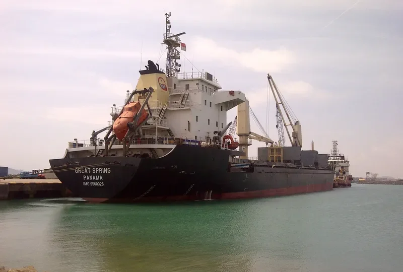 GREAT ROC Bulk Carrier IMO 9560326 photo 3