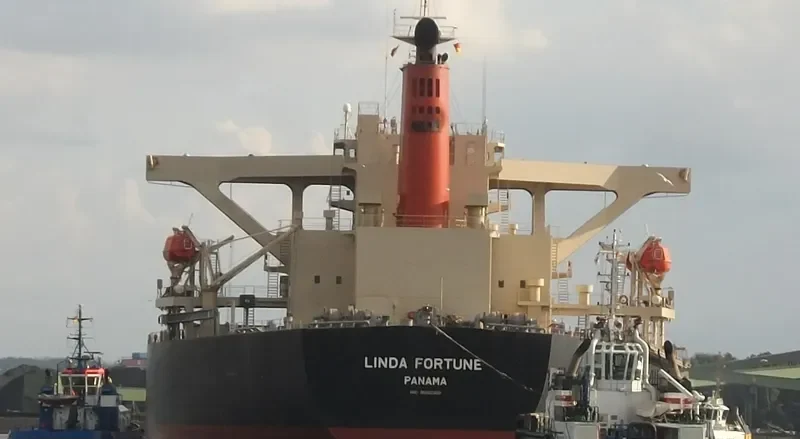 LINDA FORTUNE Bulk Carrier IMO 9560388