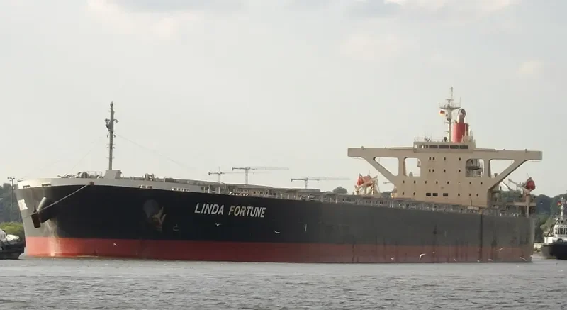 LINDA FORTUNE Bulk Carrier IMO 9560388 photo 2