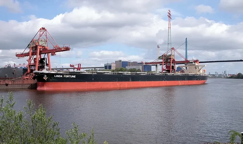 LINDA FORTUNE Bulk Carrier IMO 9560388 photo 3