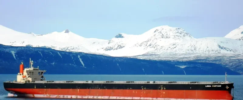 LINDA FORTUNE Bulk Carrier IMO 9560388 photo 5