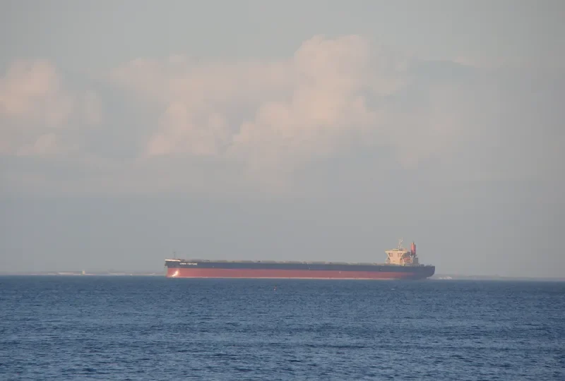 LINDA FORTUNE Bulk Carrier IMO 9560388 photo 6