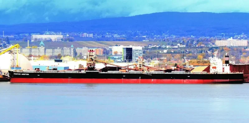 CAPE CONDOR Bulk Carrier IMO 9560390