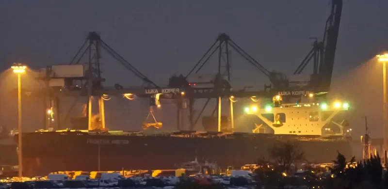 CAPE CONDOR Bulk Carrier IMO 9560390 photo 4