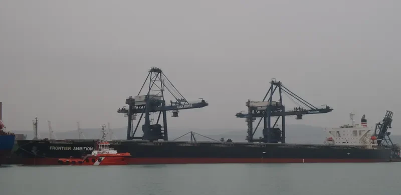 CAPE CONDOR Bulk Carrier IMO 9560390 photo 8