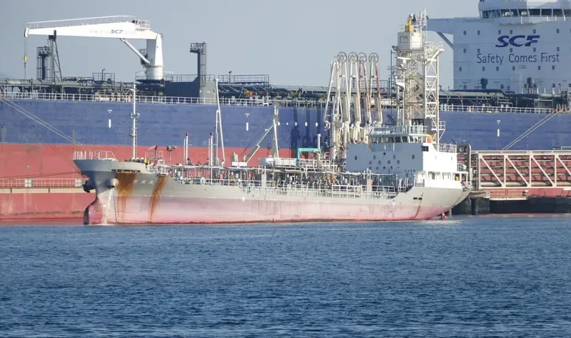 SHINYO MARU General Cargo IMO 9560443 photo 2