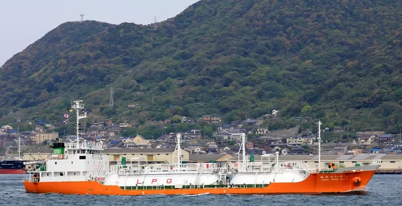 IZUMI MARU NO.10 General Cargo IMO 9560467 photo 6