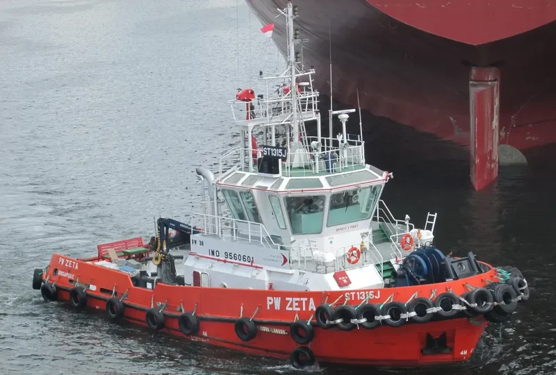 TAN CANG A36 General Cargo IMO 9560601