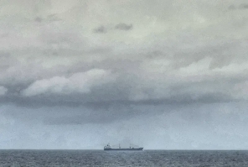 RIO CONGUE Bulk Carrier IMO 9560730