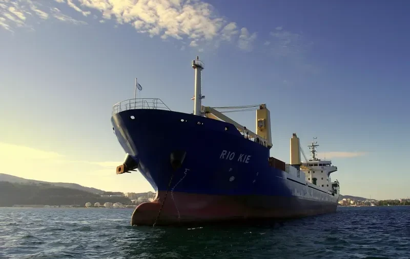 RIO CONGUE General Cargo IMO 9560730 photo 8