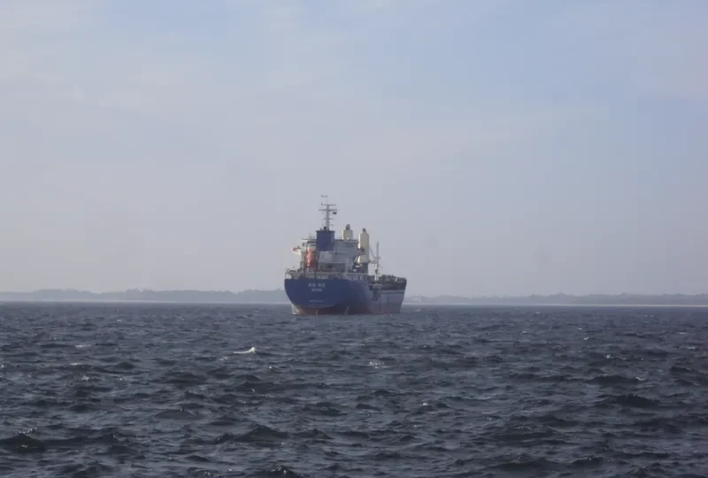 RIO CONGUE General Cargo IMO 9560730 photo 10
