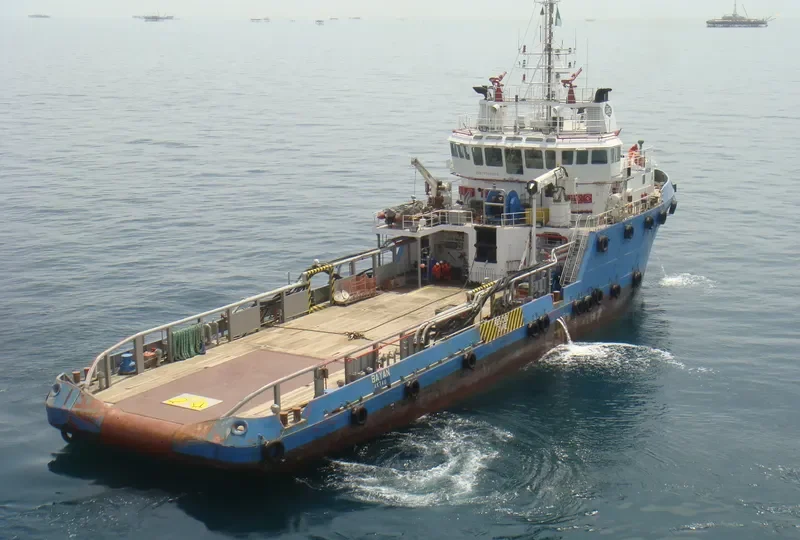 BAYAN General Cargo IMO 9560869 photo 2
