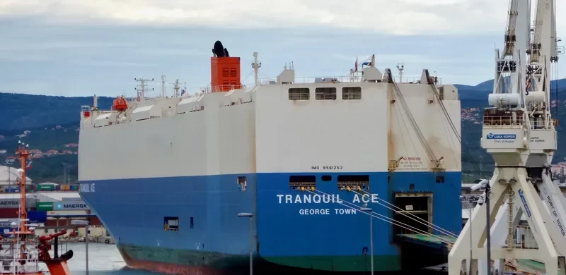 TRANQUIL ACE General Cargo IMO 9561253 photo 5