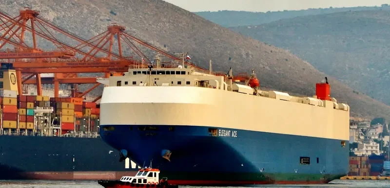 ELEGANT ACE General Cargo IMO 9561265 photo 4