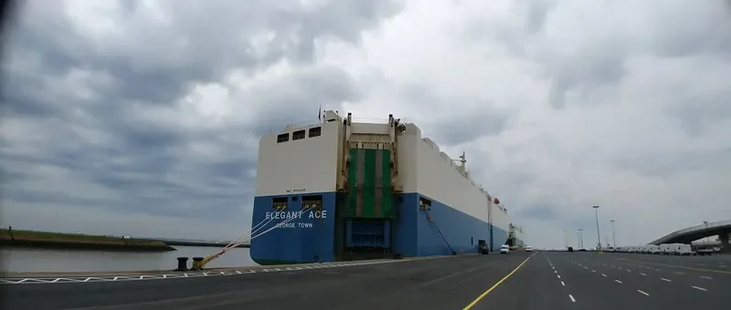 ELEGANT ACE General Cargo IMO 9561265 photo 6