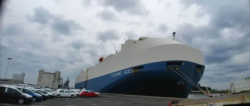 ELEGANT ACE General Cargo IMO 9561265 photo 7