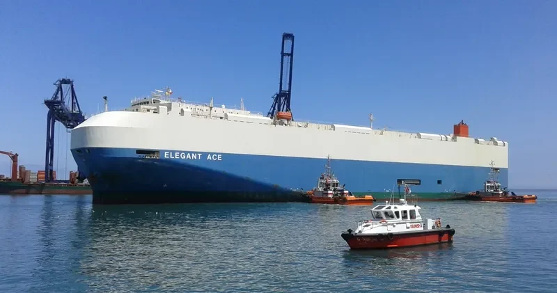 ELEGANT ACE General Cargo IMO 9561265 photo 9