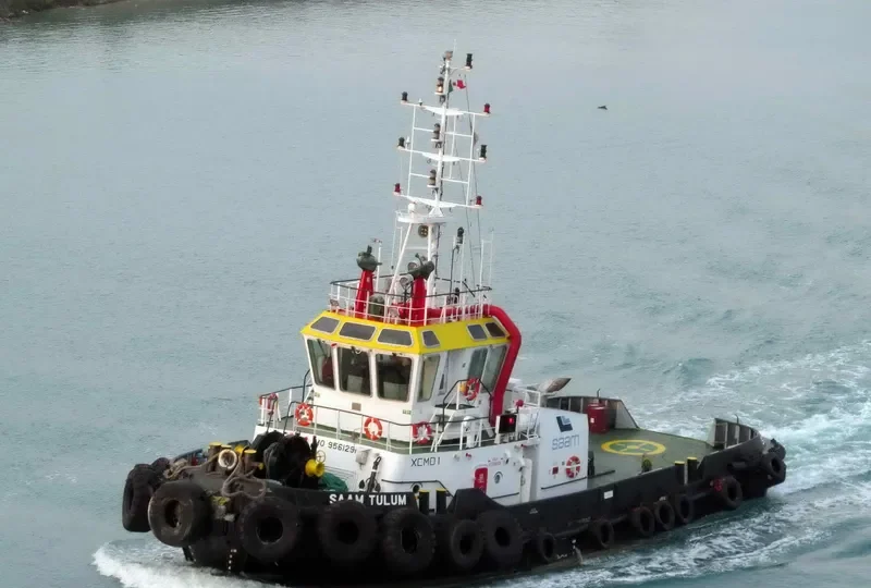 SAAM TULUM General Cargo IMO 9561291 photo 3